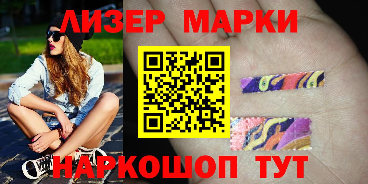 Псилоцибиновые грибы Гусиноозёрск