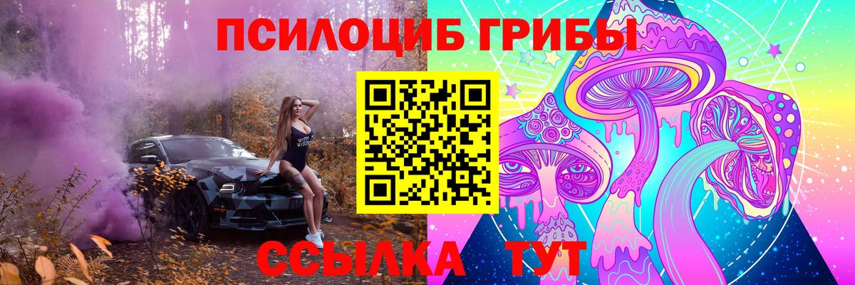 Псилоцибиновые грибы Psilocybine cubensis Гусиноозёрск