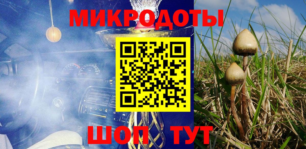 купить закладку  Галлюциногенные грибы ЛСД  Галлюциногенные грибы Magic Shrooms  Вход с VPN  Гусиноозёрск 
